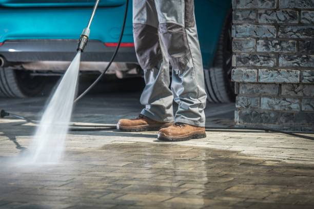 Best Pre-Holiday Cleaning  in Humboldt, KS